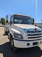 Used 2017 Hino 268A Single Cab 4x2, Cab Chassis for sale #7150 - photo 3