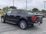 New 2024 Ford F-150 XLT SuperCrew Cab RWD, Pickup for sale #RKD87822 - photo 2