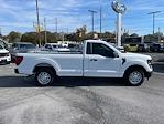 New 2024 Ford F-150 XL Regular Cab RWD, Pickup for sale #RKF04610 - photo 3