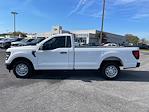 New 2024 Ford F-150 XL Regular Cab RWD, Pickup for sale #RKF04610 - photo 8