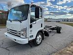 New 2024 Hino S52 Standard Cab 4x2, Cab Chassis for sale #0562576 - photo 2