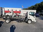 New 2024 Isuzu NPR-HD Regular Cab 4x2, Cab Chassis for sale #0565216 - photo 2