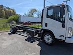 New 2024 Hino S52 Standard Cab 4x2, Cab Chassis for sale #0566151 - photo 3