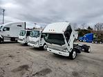 New 2024 Hino S52 Standard Cab 4x2, Cab Chassis for sale #0567743 - photo 3