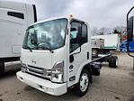 New 2024 Hino S52 Standard Cab 4x2, Cab Chassis for sale #0567743 - photo 1