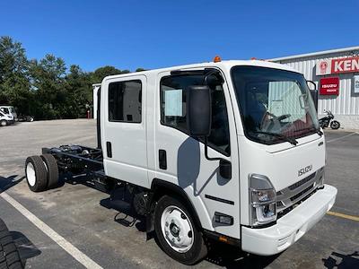 New 2025 Isuzu NRR Crew Cab 4x2, Cab Chassis for sale #0575769 - photo 1