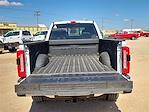 2024 Ford F-250 Crew Cab 4x4, Pickup for sale #REE03290 - photo 14