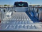 2024 Ford F-350 Crew Cab DRW 4x4, Pickup for sale #REE81299 - photo 15