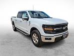 New 2024 Ford F-150 XLT SuperCrew Cab 4x4, Pickup for sale #RFA81703 - photo 1