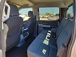 2024 Ford F-150 SuperCrew Cab 4x4, Pickup for sale #RFB49131 - photo 16