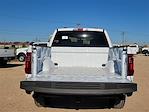 New 2024 Ford F-150 STX SuperCrew Cab 4x4, Pickup for sale #RFB94542 - photo 14