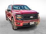 New 2024 Ford F-150 XLT SuperCrew Cab 4x4, Pickup for sale #RFB98946 - photo 3