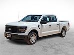 New 2024 Ford F-150 XL SuperCrew Cab 4x2, Pickup for sale #RKE67038 - photo 6