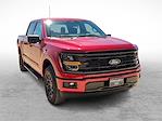 New 2024 Ford F-150 XLT SuperCrew Cab 4x4, Pickup for sale #RKE78273 - photo 3