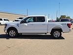 New 2024 Ford F-150 XLT SuperCrew Cab 4x4, Pickup for sale #RKE84849 - photo 7