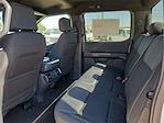 New 2024 Ford F-150 STX SuperCrew Cab 4x4, Pickup for sale #RKF13433 - photo 16