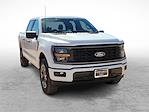 New 2024 Ford F-150 STX SuperCrew Cab 4x2, Pickup for sale #RKF34035 - photo 3