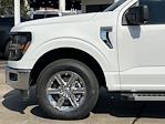 2024 Ford F-150 SuperCrew Cab RWD, Pickup for sale #RKD02669 - photo 3