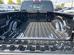 New 2025 Ram 1500 Lone Star Crew Cab 4x4, Pickup for sale #25D114 - photo 17