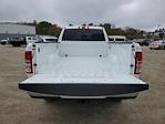 2024 Ram 2500 Crew Cab 4x2, Pickup for sale #R241066 - photo 10