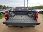 2024 Ram 3500 Crew Cab DRW 4x4, Pickup for sale #R24689 - photo 9