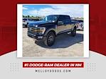 Used 2023 Ford F-150 Tremor SuperCrew Cab 4x4, Pickup for sale #X12114 - photo 4