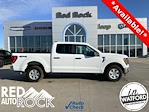 Used 2023 Ford F-150 XLT SuperCrew Cab 4WD, Pickup for sale #Q1112 - photo 1