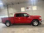 Used 2020 Ram 1500 Tradesman Crew Cab 4WD, Pickup for sale #P382786P - photo 3