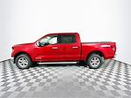 2024 Ford F-150 SuperCrew Cab 4x4, Pickup for sale #324F357 - photo 5