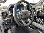 2024 Ford F-150 SuperCrew Cab 4x4, Pickup for sale #324F494 - photo 9