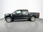 2024 Ford F-150 SuperCrew Cab 4x4, Pickup for sale #324F501 - photo 5