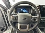 2024 Ford F-150 SuperCrew Cab 4x4, Pickup for sale #324F580 - photo 12