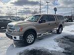 2014 Ford F-150 SuperCrew Cab 4x4, Pickup for sale #3P50641 - photo 15