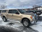 2014 Ford F-150 SuperCrew Cab 4x4, Pickup for sale #3P50641 - photo 3