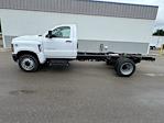 2024 Chevrolet Silverado 5500 Regular Cab DRW 4x2, Cab Chassis for sale #241004 - photo 6