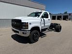 New 2024 Chevrolet Silverado 5500 Regular Cab 4x4, Cab Chassis for sale #24647 - photo 3