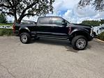 2024 Ford F-250 Crew Cab 4x4, Pickup for sale #C14839 - photo 13