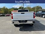 2020 Chevrolet Silverado 2500 Crew Cab SRW 4x4, Pickup for sale #F04574A - photo 16