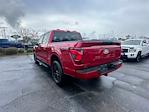 2024 Ford F-150 SuperCrew Cab 4x4, Pickup for sale #F11676 - photo 2