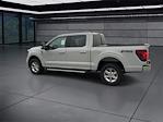 New 2024 Ford F-150 XLT SuperCrew Cab 4x4, Pickup for sale #F24137 - photo 2