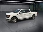 New 2024 Ford F-150 XLT SuperCrew Cab 4x4, Pickup for sale #F24161 - photo 5