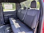 New 2024 Ford F-150 STX SuperCrew Cab 4x4, Pickup for sale #F24335 - photo 27