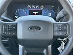 2024 Ford F-150 SuperCrew Cab 4x4, Pickup for sale #F24425 - photo 16