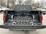 2024 Ford F-150 SuperCrew Cab 4x4, Pickup for sale #F24497 - photo 31