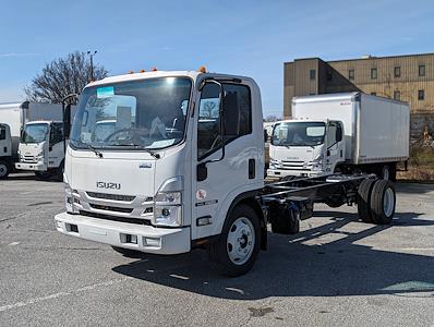 New 2024 Isuzu NQR Standard Cab 4x2, Cab Chassis for sale #R7900485 - photo 1