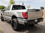 New 2024 Ford F-150 STX SuperCrew Cab 4x4, Pickup for sale #M00798 - photo 14