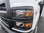 Used 2023 Chevrolet Silverado 6500 Regular Cab 4x2, Palfinger PAL Pro 43 Service Truck for sale #715896 - photo 15