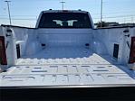 2024 Ford F-150 SuperCrew Cab 4x2, Pickup for sale #A1007 - photo 20