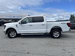 New 2024 Ford F-150 XLT SuperCrew Cab 4x4, Pickup for sale #A1088 - photo 29