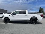 New 2024 Ford F-150 XLT SuperCrew Cab 4x4, Pickup for sale #A1089 - photo 28